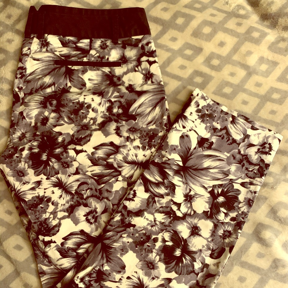 Express dress pants
